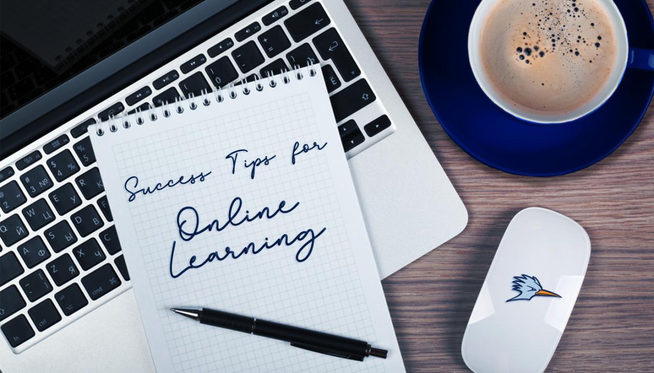 Tips For Succeeding In Online Learning